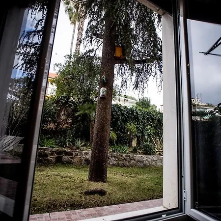 Primavera サンレモ